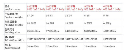 Sex Doll Torso - B11 - AU Warehouse - Sex Doll Plus
